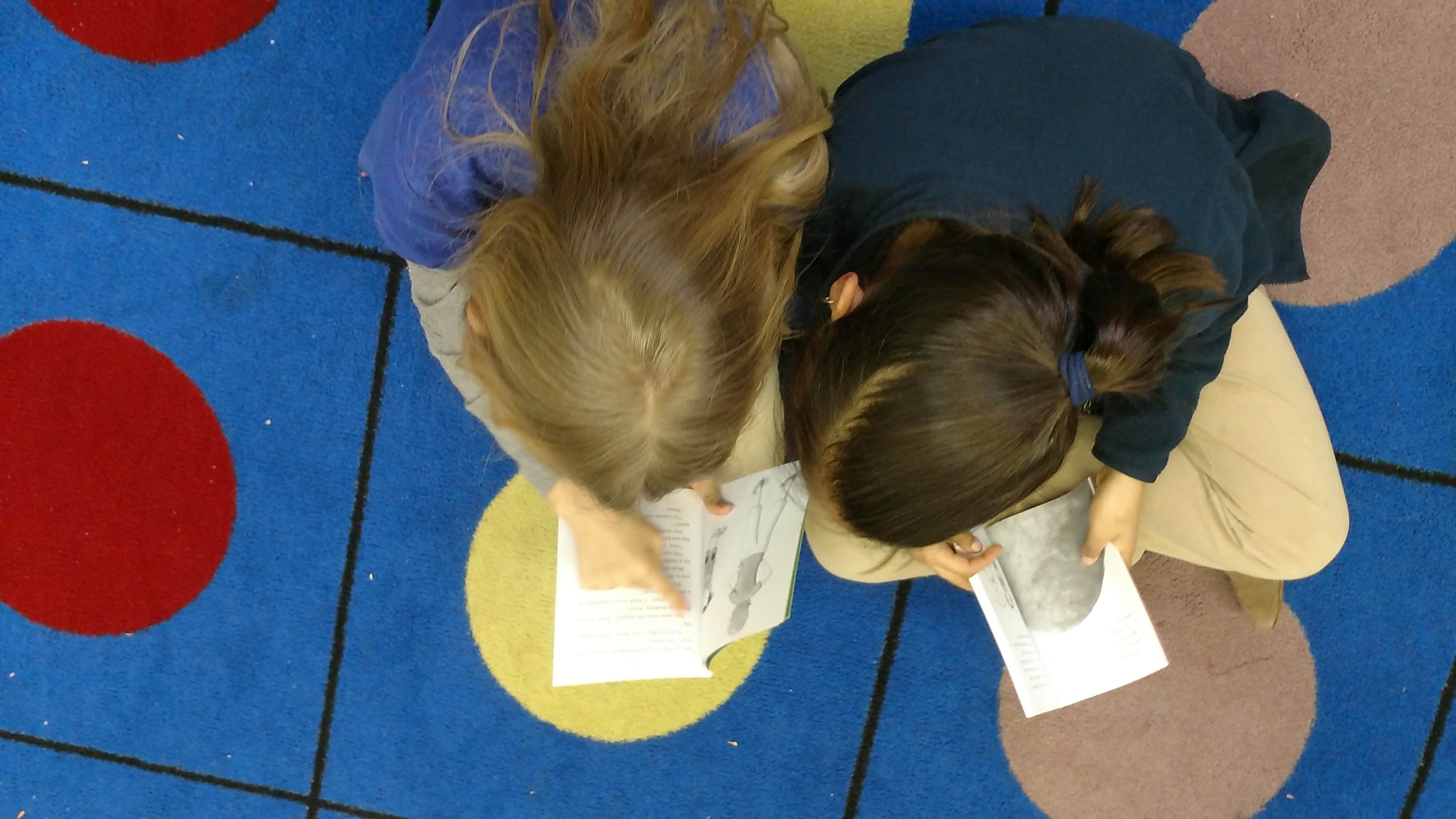 IMG_20170228_154436076